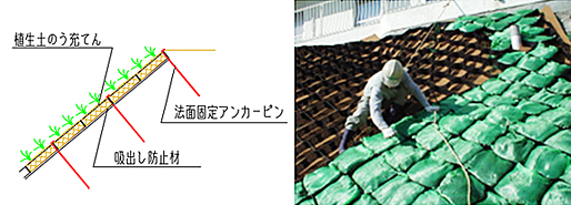 テラセルの構造の図