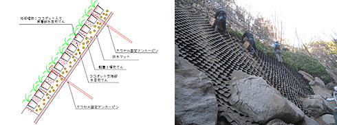 テラセルの構造の図